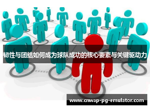 韧性与团结如何成为球队成功的核心要素与关键驱动力