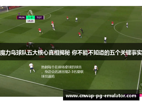 魔力鸟球队五大核心真相揭秘 你不能不知道的五个关键事实