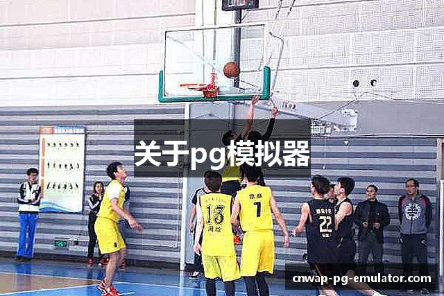 关于pg模拟器